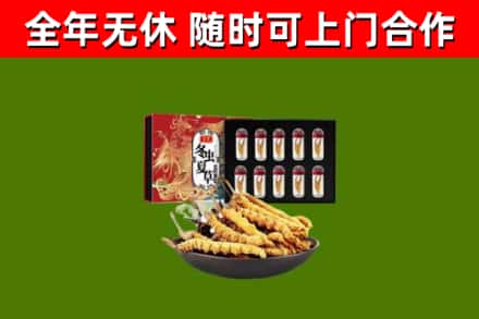 泉山回收冬虫夏草价格